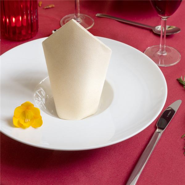 ROLO DE TOALHA DE MESA 55 G/M2 1,20x50 M BORDEAUX AIRLAID (1 UNIDADE)