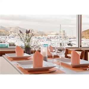 TOALHETES DE MESA DRY COTTON 55 G/M2 30x40 CM TORANJA AIRLAID (800 UNIDADE)