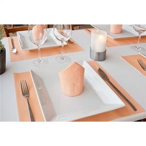 TOALHETES DE MESA DRY COTTON 55 G/M2 30x40 CM TORANJA AIRLAID (800 UNIDADE)