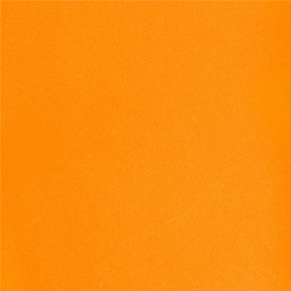 ROLO T�TE � T�TE PR�. 120CM (20 SER.) 55 G/M2 0,40x24 M TORANJA AIRLAID (6 UNIDADE)