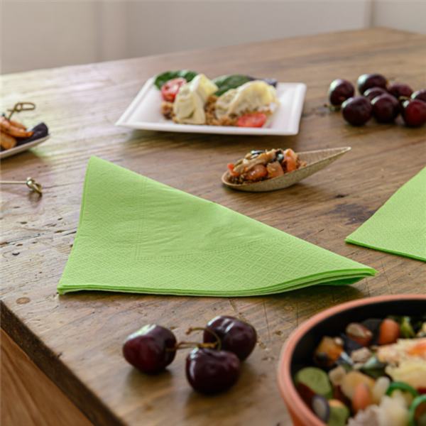 GUARDANAPOS ECOLABEL 2 FOLHAS 18 G/M2 39x39 CM VERDE ANIS TISSUE (1600 UNIDADE)