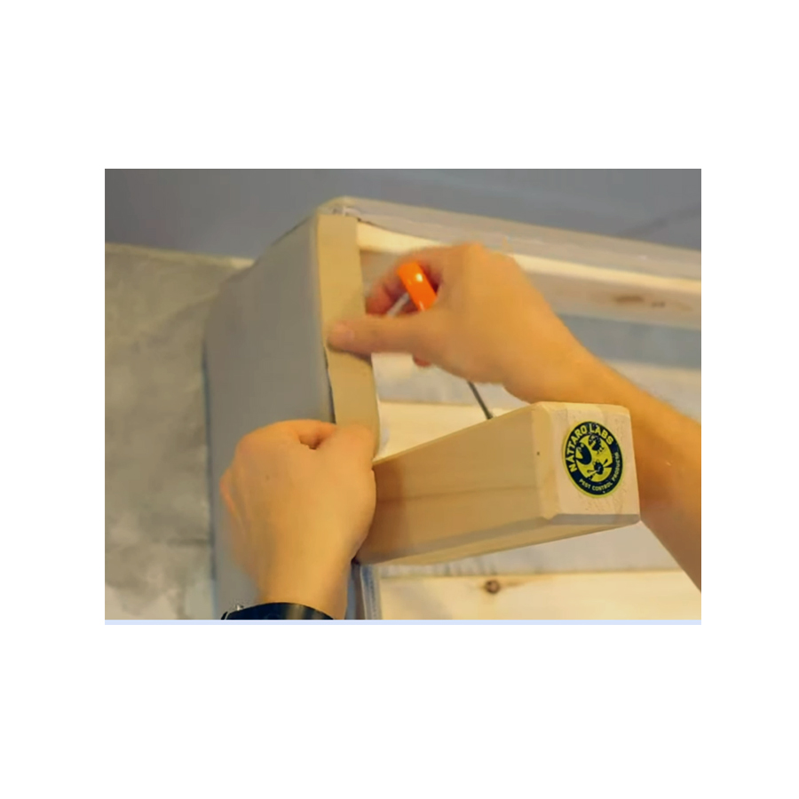Cinta 30 Cm elimina��o de percevejos de cama Nattaro Safe